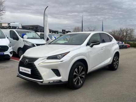 LEXUS NX 300h 2WD Design MY21 à vendre à Dijon - Image n°1