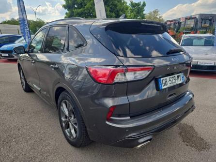 FORD Kuga 1.5 EcoBlue 120ch ST-Line Business à vendre à Beaune - Image n°7